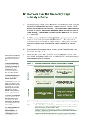 Chapter 12, Controls over the temporary wage subsidy scheme thumbnail